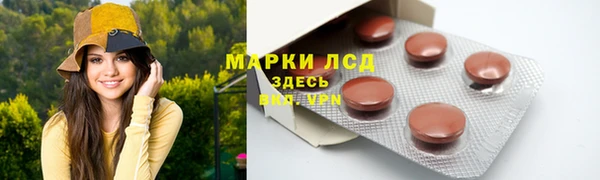 дурь Карпинск