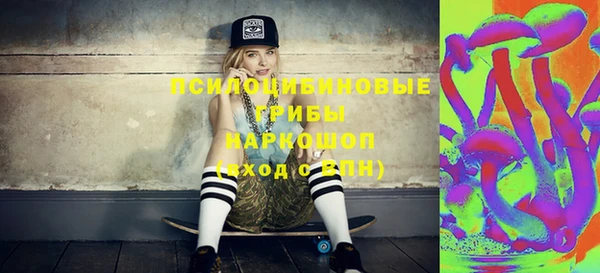 дурь Карпинск
