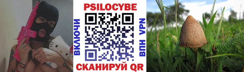 Галлюциногенные грибы прущие грибы  Купить  Ртищево 